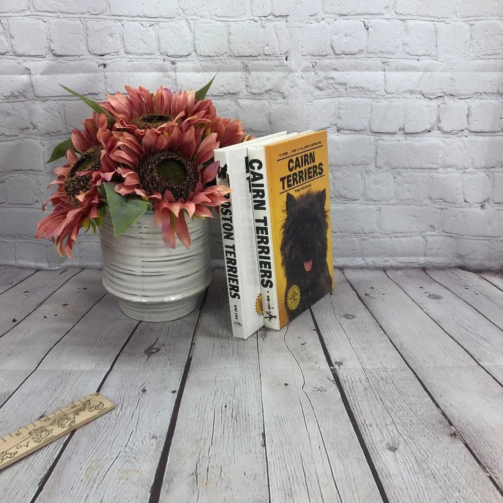1990 vintage terriers book bundle cairn and boston